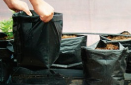 BOLSA HIDROPÓNICA